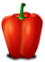 Chrisdesign Pepper red1 e1339966780707 Professional Organizers &  Packing Services in Marin County & San Francisco