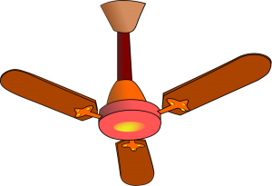 biswajyotim Fan 300x205 Professional Organizers &  Packing Services in Marin County & San Francisco