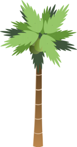 bsantos Palm Tree 157x300 Professional Organizers &  Packing Services in Marin County & San Francisco