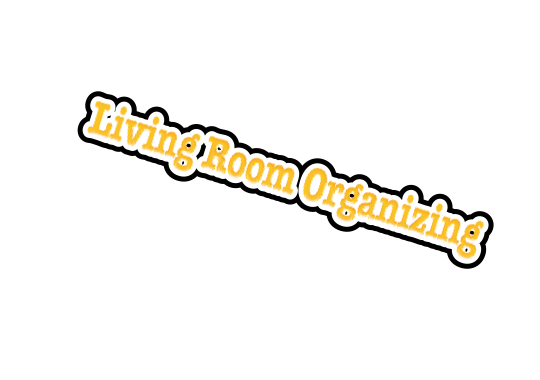 living room Professional Organizers &  Packing Services in Marin County & San Francisco