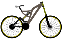 zeimusu Mountain bike Professional Organizers &  Packing Services in Marin County & San Francisco