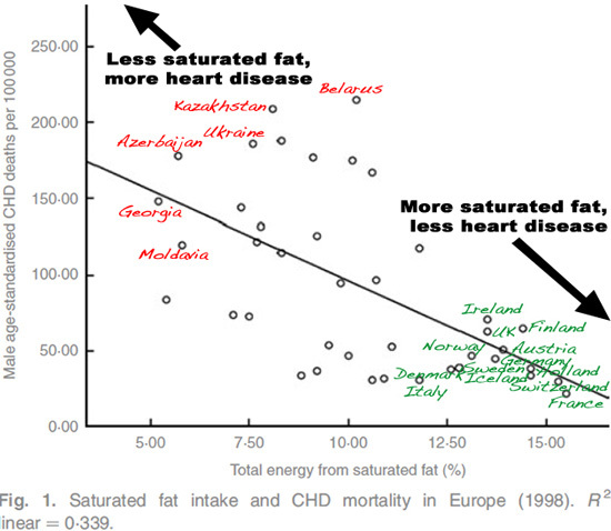 Why Low-Fat Diets Make You Fat (And Unhealthy)