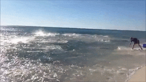 Sharks Celebrate Thanksgiving Early With Feeding Frenzy At Florida Beach
