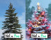 A Typical Christmas Tree May Not Be What You Think