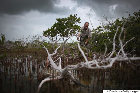 4 Myths About How to Deal With Climate Change Effectively