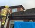 Bunny Blown Onto Roof In Storm Rescued By Heroic Firefighters
