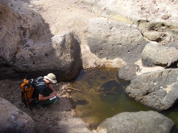 Drought in the American Southwest: 5 Questions for Dr. Michael Bogan