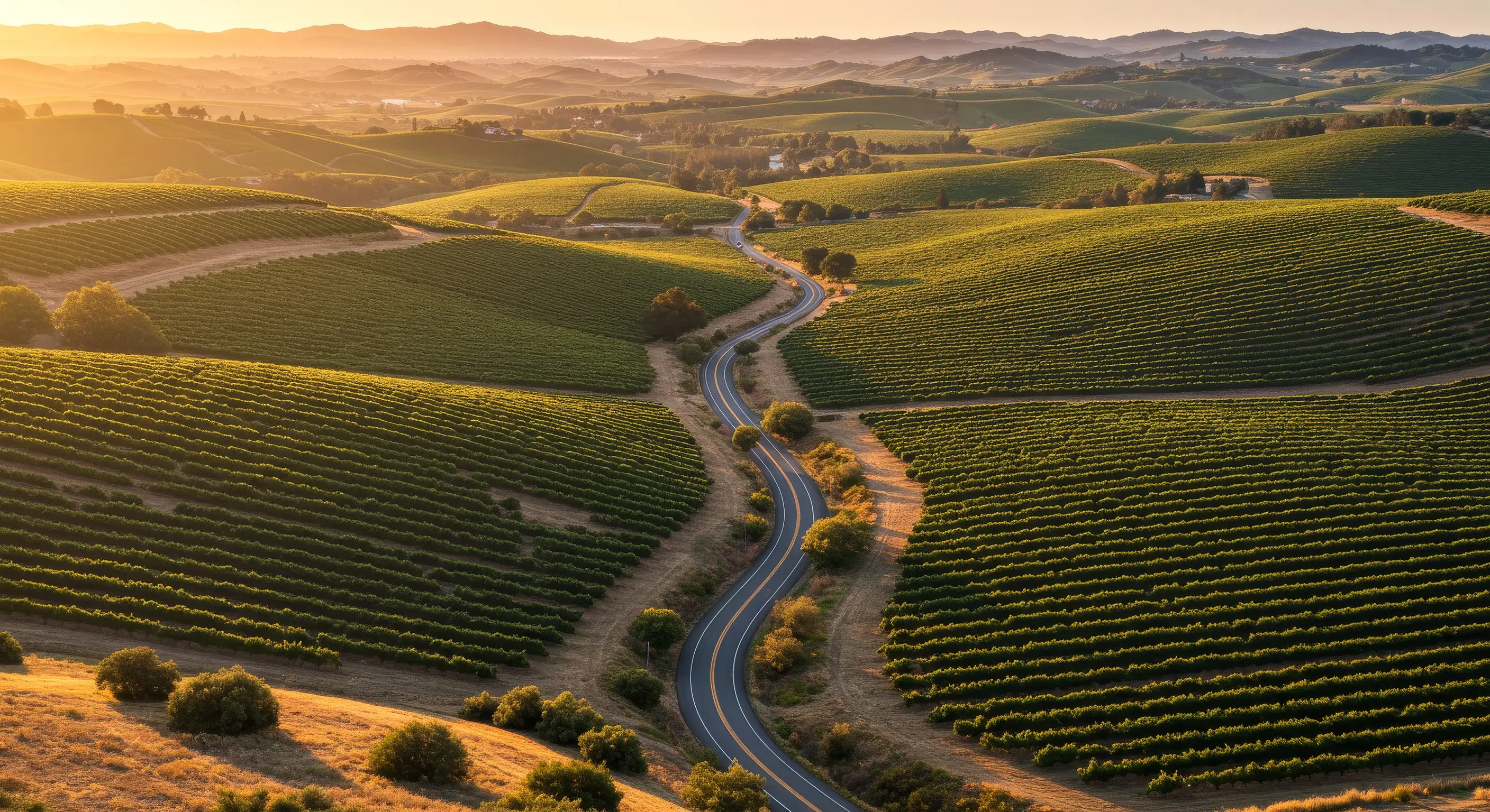 View of Sonoma County from a clean home